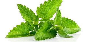 use of mint to increase potency