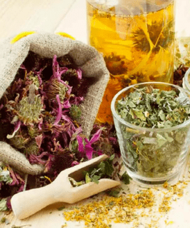 Herbaceous